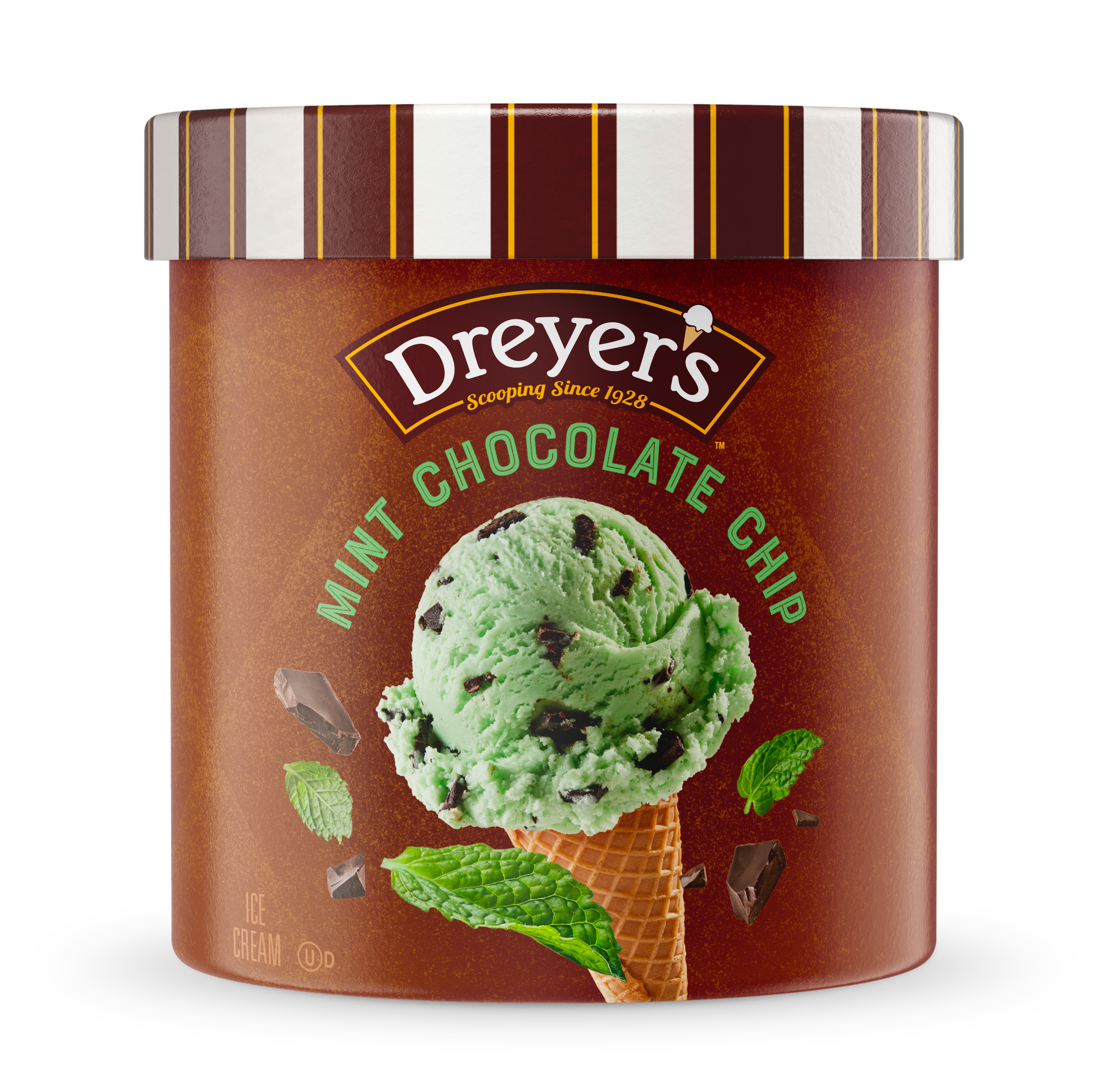 Carton of Dreyer's mint chocolate chip ice cream