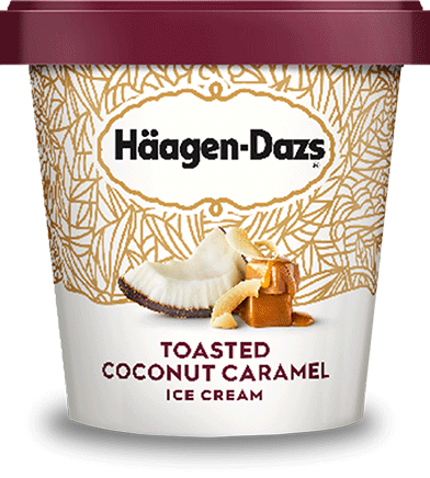 Pint of Haagen-Dazs toasted coconut caramel ice cream