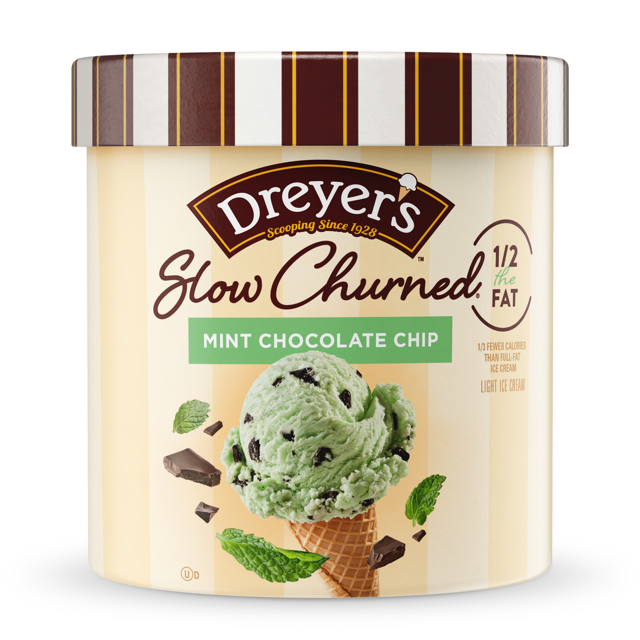 Carton of Dreyer's slow-churned mint chocolate chip ice cream