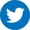 Social Icon Twitter