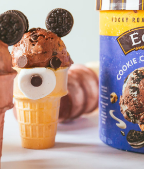 Edy's teddy bear ice cream cones