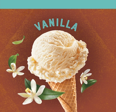 Dreyers™/Edy’s® Vanilla