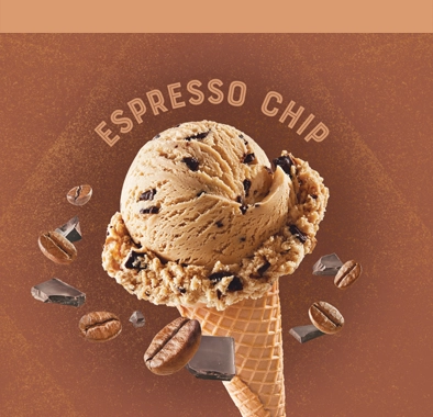 Dreyers™/Edy’s® Espresso Chip