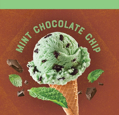 Dreyers™/Edy’s® Mint Chocolate Chip