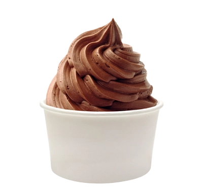 Dreyer’sTM/Edy’s® Non Fat Frozen Yogurt Chocolate