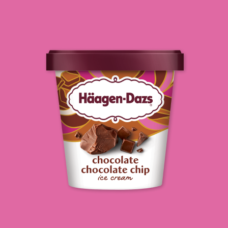 Chocolate Chocolate Chip Ice Cream 3.6 oz, 14 oz