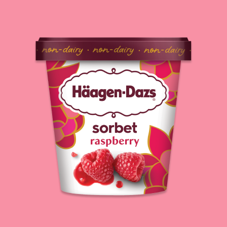 Raspberry Sorbet 14 oz