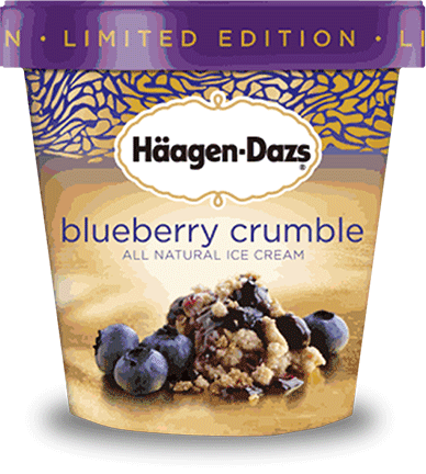 Pint of Haagen Dazs blueberry crumble ice cream