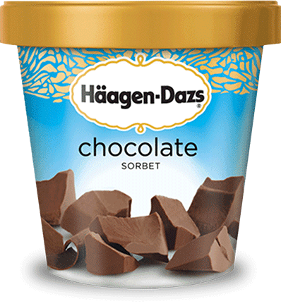 Pint of Haagen-Dazs chocolate sorbet