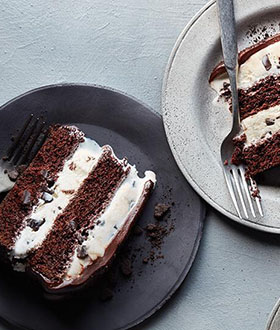 Haagen-Dazs mint chip chocolate ice cream cake