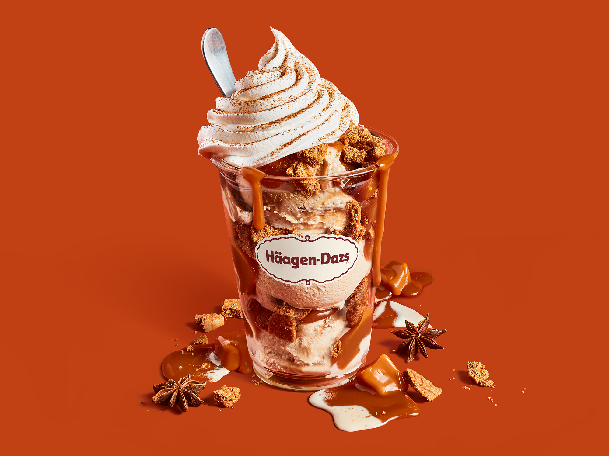 Pumpkin Spice Dazzler Rich Dulce de Leche ice cream layered with caramel sauce and cinnamon cookie pieces topped with whipped cream and pumpkin spices.