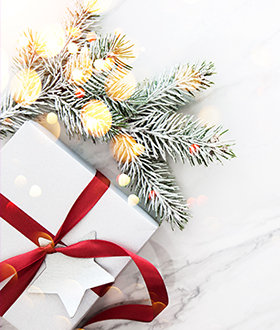 Holiday frosted tree branch with present
