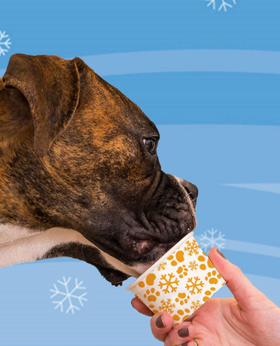 Frosty Paws Your favorite dog’s favorite frozen treat.