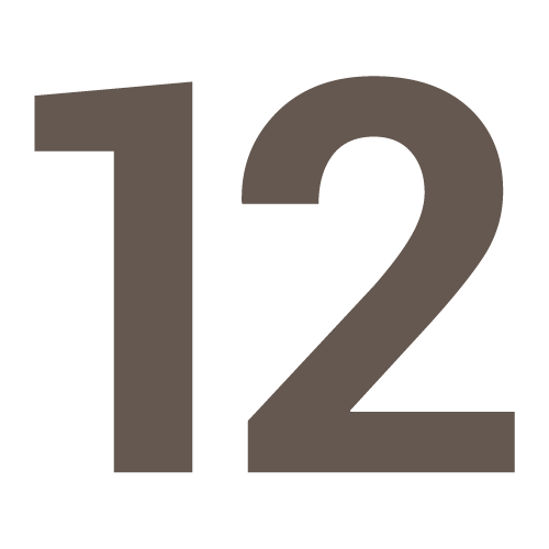 the number 12