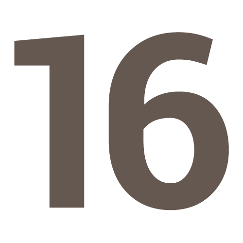 the number 16