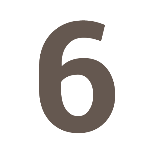 the number 6