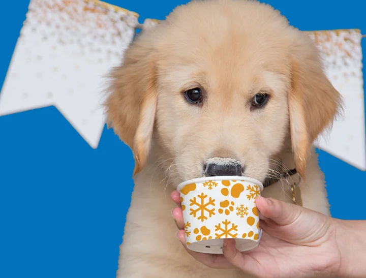 Official Frosty Paws®, Ice Cream for Dogs